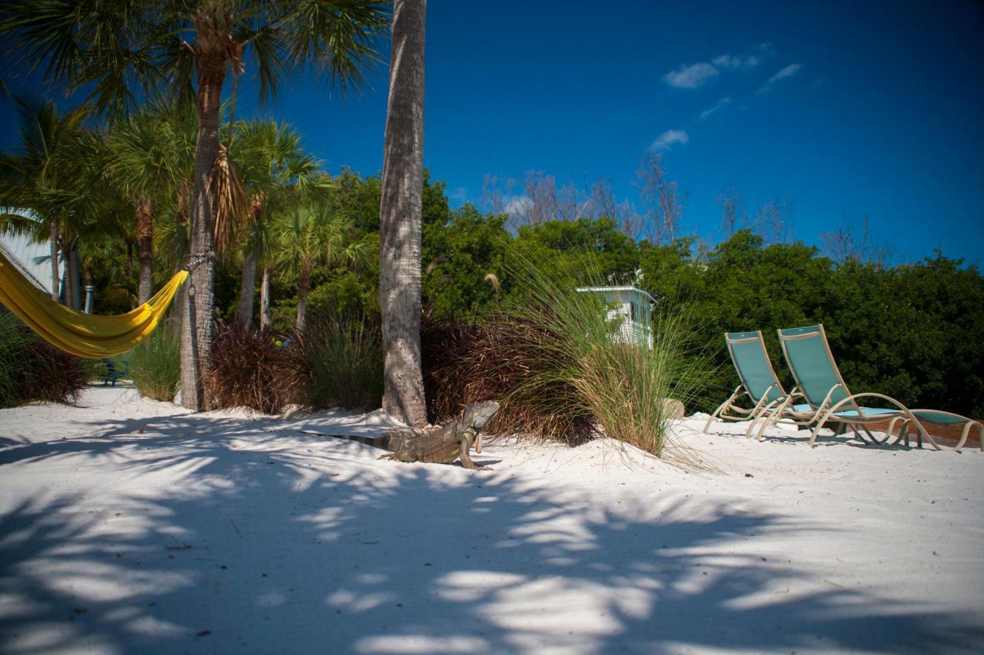 Ibis Bay Resort Key West Pokój zdjęcie